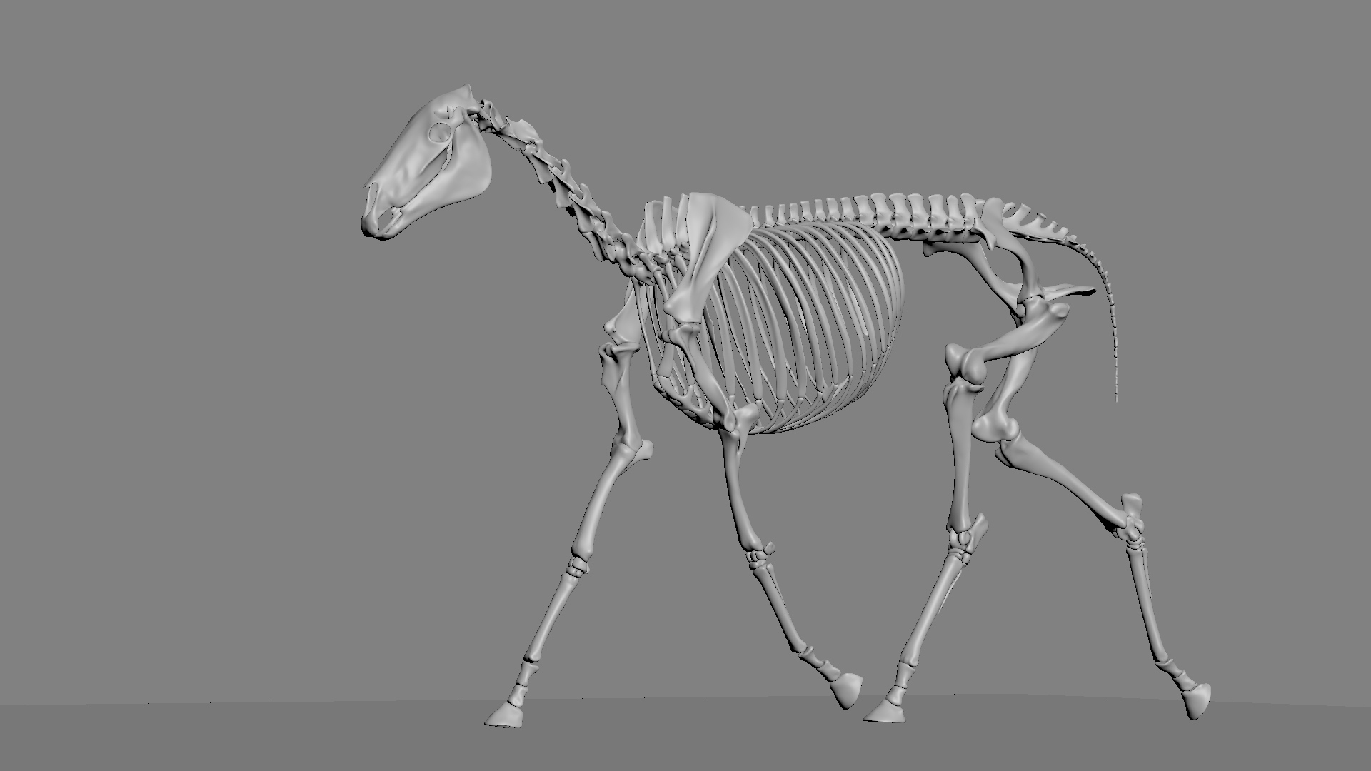 horse rigged model https://p.turbosquid.com/ts-thumb/dh/ZOpDf9/TD/s/jpg/1647708483/1920x1080/turn_fit_q99/fb5e309aabdf8af005bb5a08d39cb2d4d96c1c16/s-1.jpg