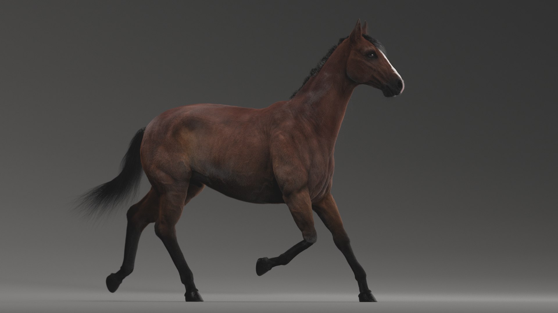 horse rigged model https://p.turbosquid.com/ts-thumb/dh/ZOpDf9/kr/33/png/1647708841/1920x1080/fit_q87/5c0adea49c96e13e612e825840a01d1408c1e242/33.jpg