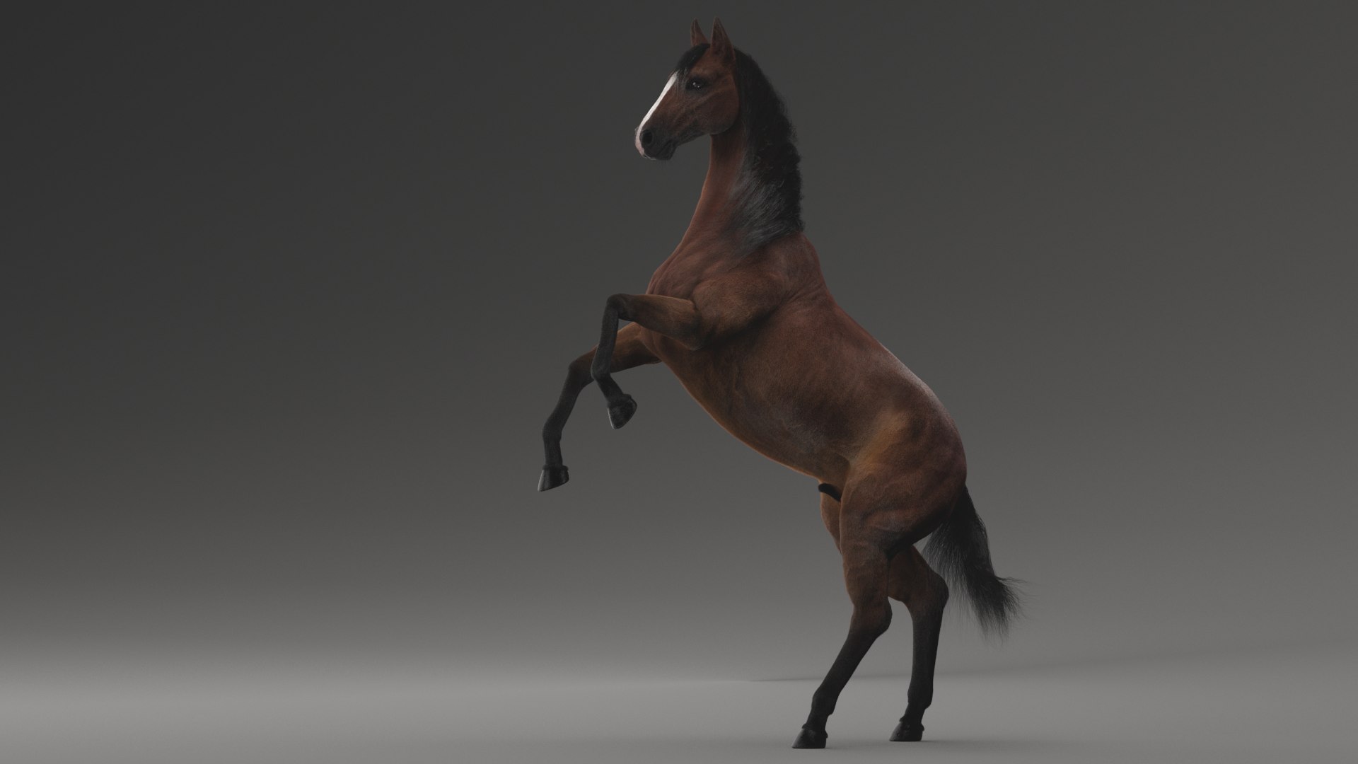horse rigged model https://p.turbosquid.com/ts-thumb/dh/ZOpDf9/nR/22/png/1647708803/1920x1080/fit_q87/1e481a7ce128f8c6584a09ba29c303124d8b84c6/22.jpg