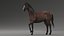 horse rigged model