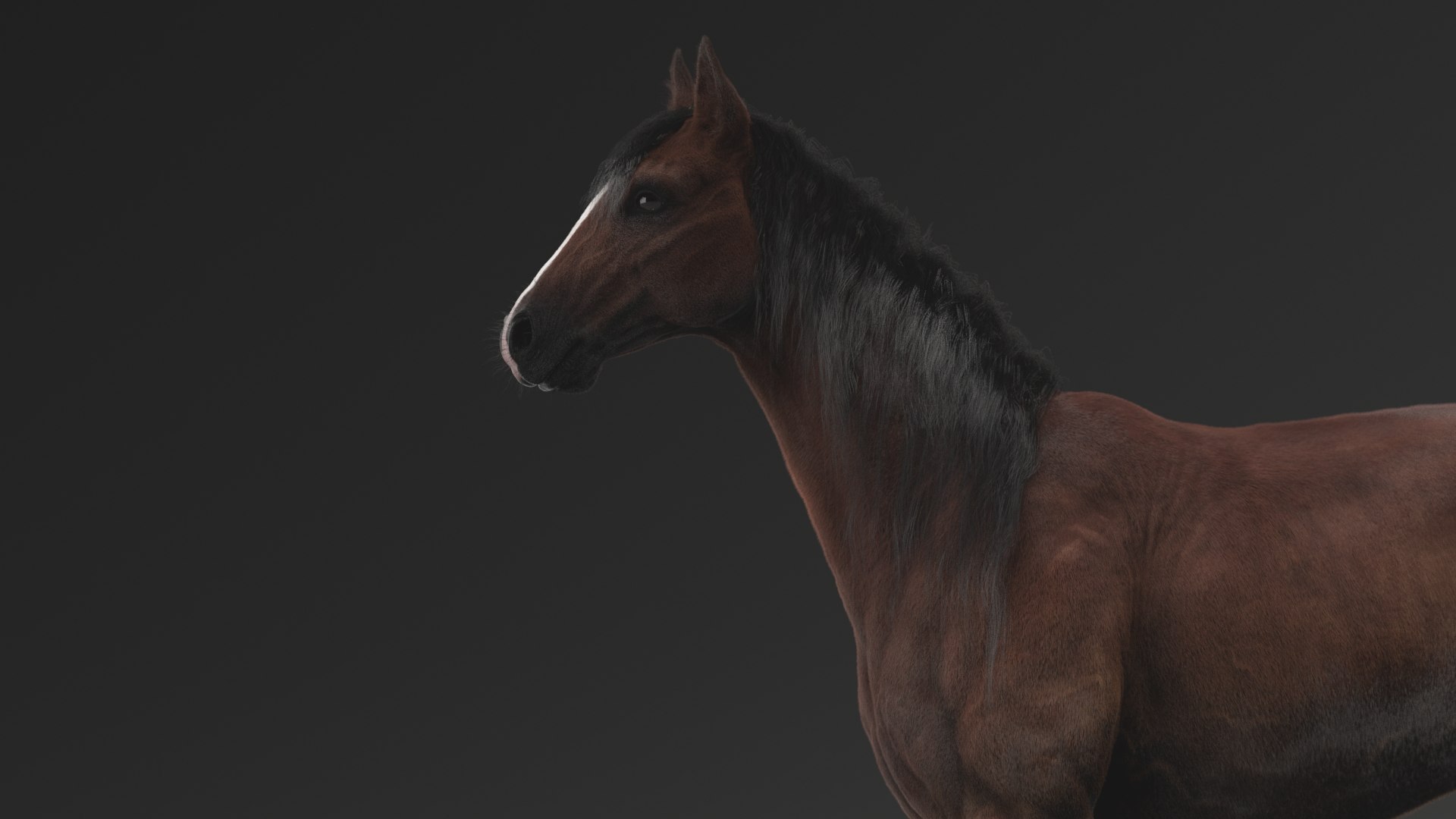 horse rigged model https://p.turbosquid.com/ts-thumb/dh/ZOpDf9/no/3/png/1647708927/1920x1080/fit_q87/0963155640d9d5066984d9138174721a1676099f/3.jpg