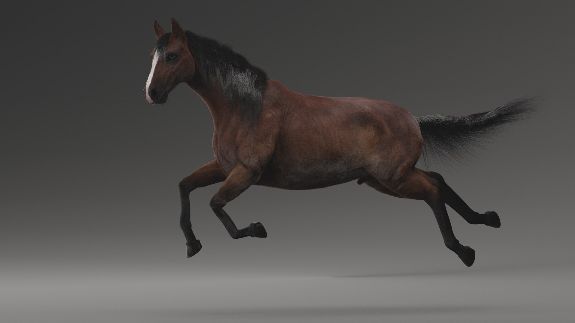 horse rigged model https://p.turbosquid.com/ts-thumb/dh/ZOpDf9/tx/44/png/1647708827/1920x1080/fit_q87/f877c74e23dada2eb5b190ff59d42db9fd04c5b9/44.jpg
