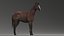 Caballo aparejado