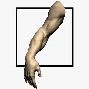 Arm Sculpt High Poly