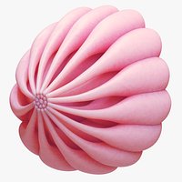 Mammary Gland Anatomy