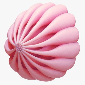 Mammary Gland Anatomy