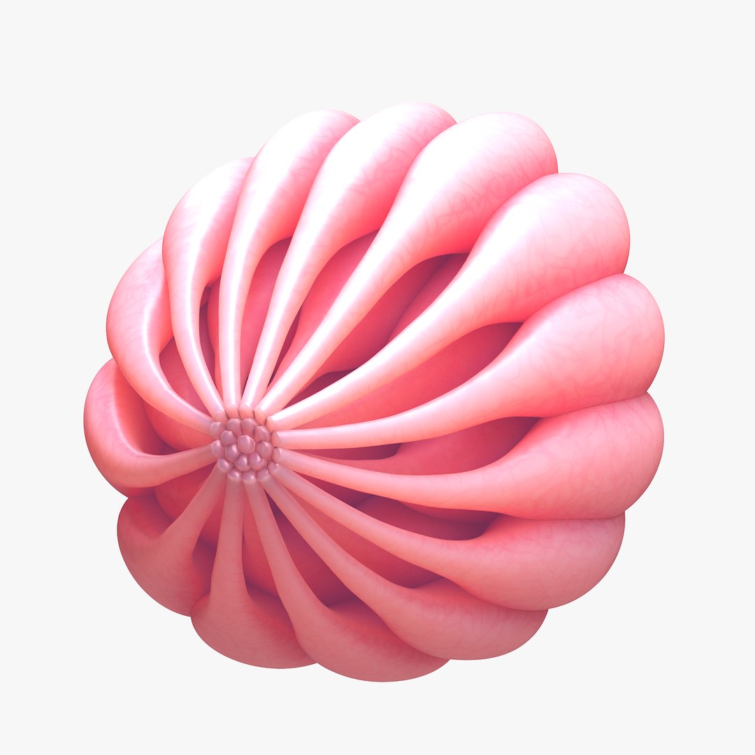Mammary Gland Anatomy 3D model https://p.turbosquid.com/ts-thumb/dh/qucAwN/Ro/8/png/1680451235/1920x1080/fit_q87/d99a05c5be6b5d287987a8305928dfffcaf33ab7/8.jpg