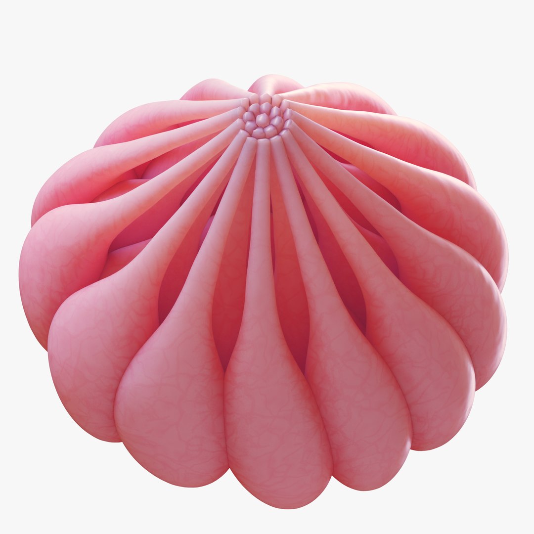 Mammary Gland Anatomy 3D model https://p.turbosquid.com/ts-thumb/dh/qucAwN/yB/4/png/1680451233/1920x1080/fit_q87/148462b54e8dfdaeae16913d9f038a3988a11678/4.jpg
