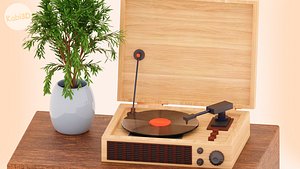 Turntable for vinyl records
