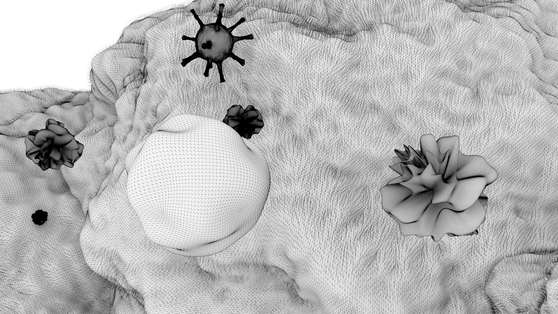 3D model corona virus https://p.turbosquid.com/ts-thumb/di/7CcbcO/Ktw7Fv7S/coronavireframe23/jpg/1582271097/1920x1080/fit_q87/66f192365d3d77652f989ee57cf37c94cf3cb6d4/coronavireframe23.jpg
