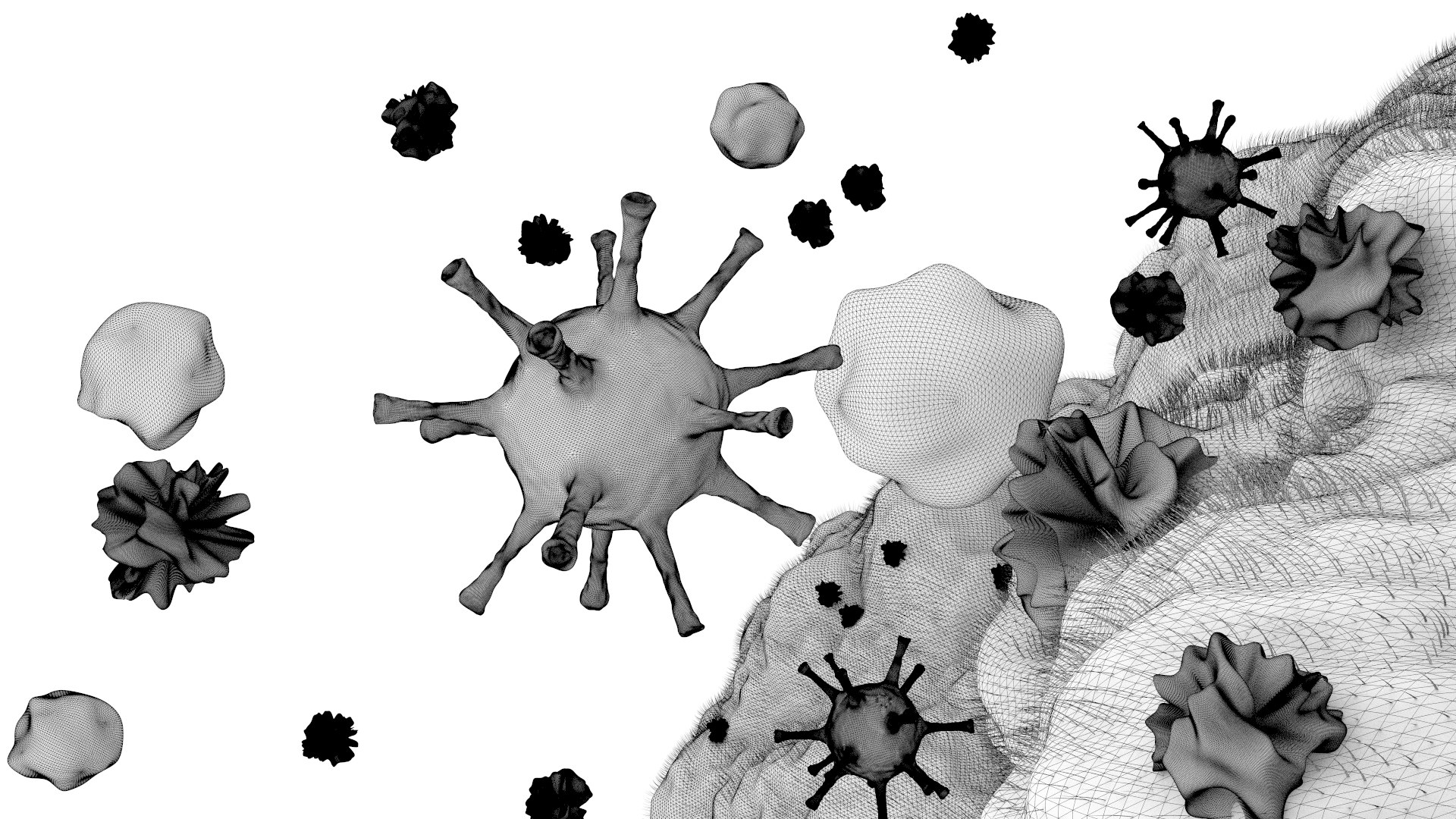 3D model corona virus https://p.turbosquid.com/ts-thumb/di/7CcbcO/WzqlSmTR/coronavireframe21/jpg/1582271071/1920x1080/fit_q87/031ab1c44c2285fe7102098548a3865c768f1ae2/coronavireframe21.jpg