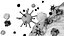 Corona virus