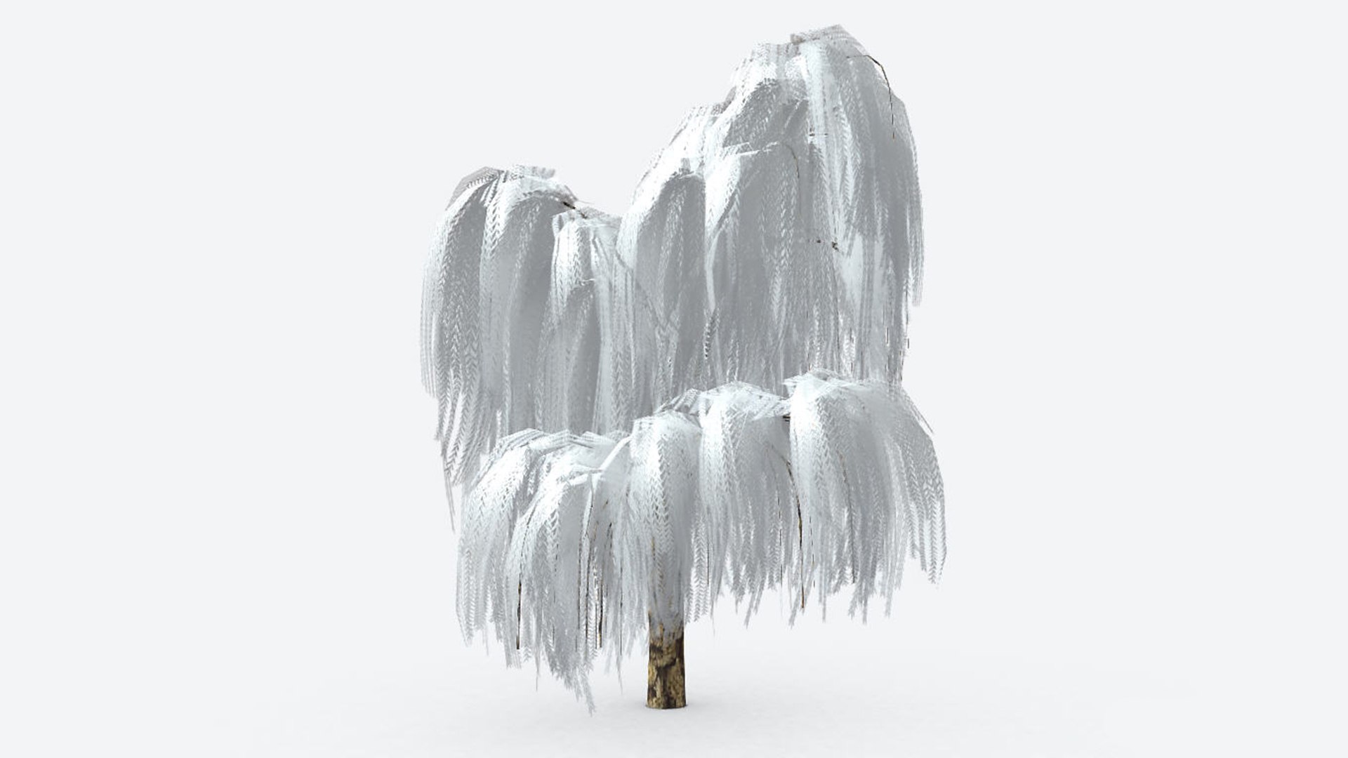 3D weeping tree white color https://p.turbosquid.com/ts-thumb/di/CXotvN/lx/im01/jpg/1718888037/1920x1080/fit_q87/686356aac0a138acdac26d2a7b7070c5d60bd8db/im01.jpg