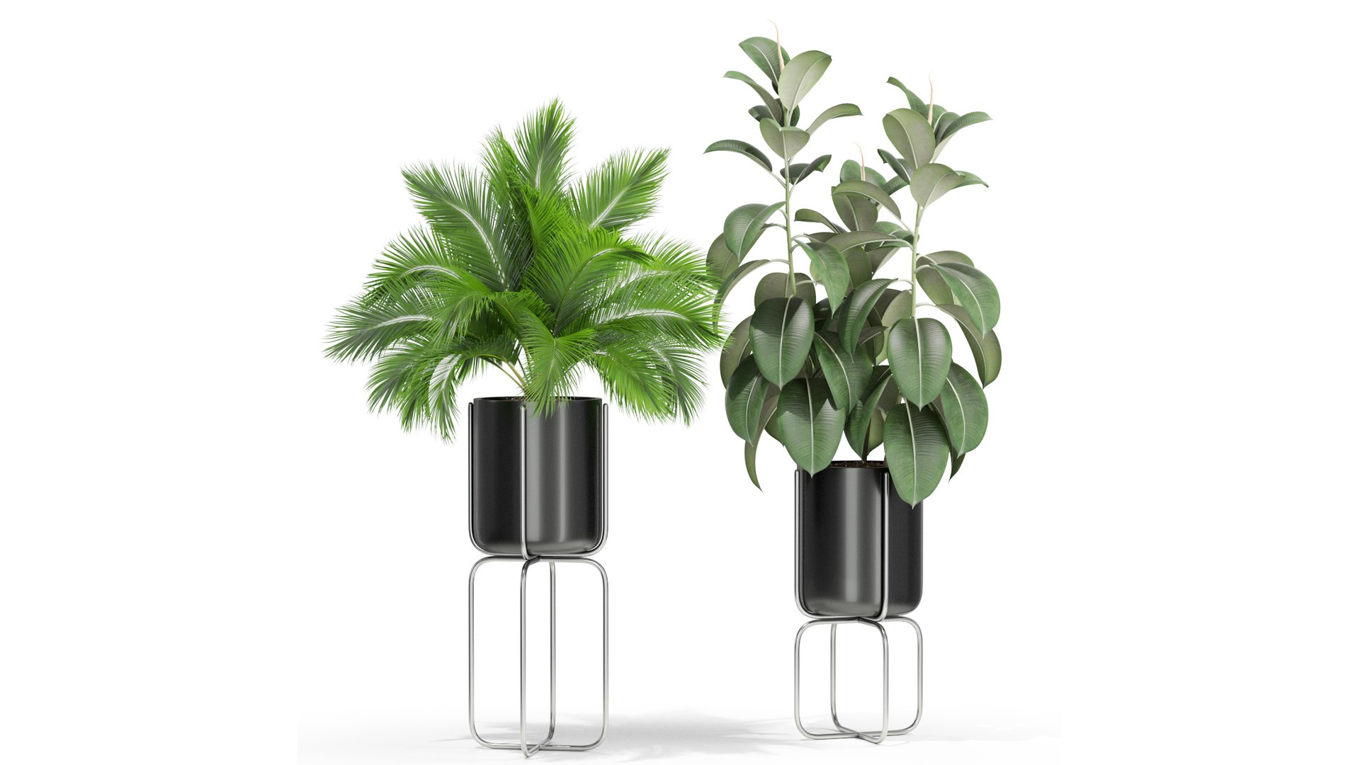 3D plants https://p.turbosquid.com/ts-thumb/di/CjkfnZ/Dx/3/jpg/1614949910/1920x1080/fit_q87/5cbab970692d8162ca60c5e2633b5b7fc6c0574b/3.jpg