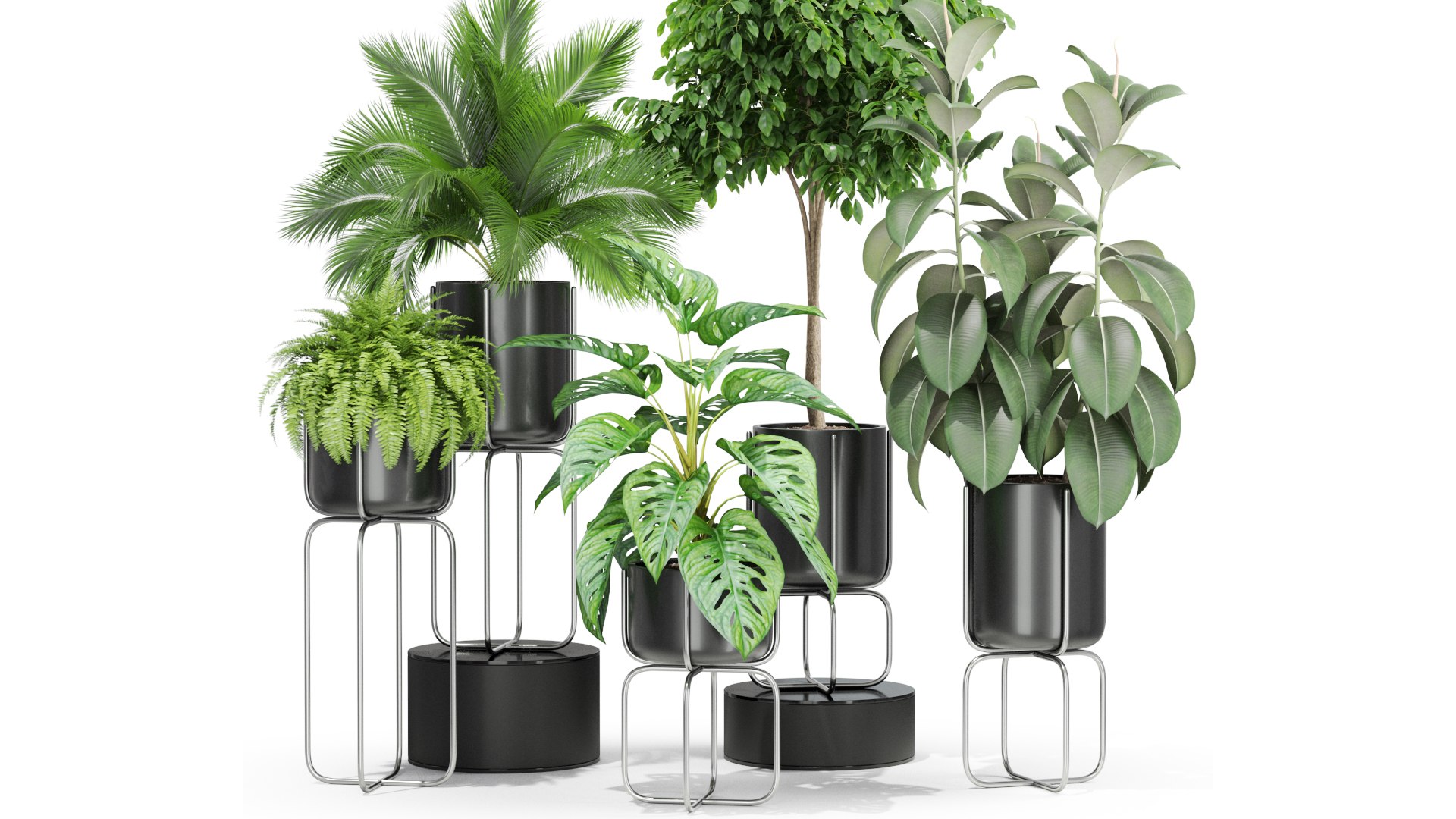 3D plants https://p.turbosquid.com/ts-thumb/di/CjkfnZ/IA/6/jpg/1614949911/1920x1080/fit_q87/2f72e26ae4d7bf58f1bd4af7c1096dffada73128/6.jpg