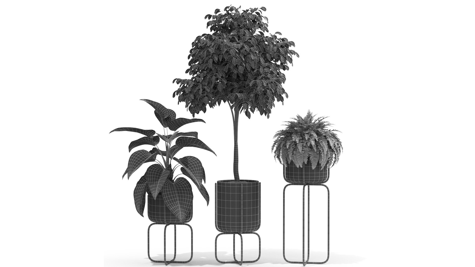 3D plants https://p.turbosquid.com/ts-thumb/di/CjkfnZ/PL/4/jpg/1614949965/1920x1080/fit_q87/9c7f54ac992cd1ebb7eca46b1ff8f1ef3bae9a99/4.jpg