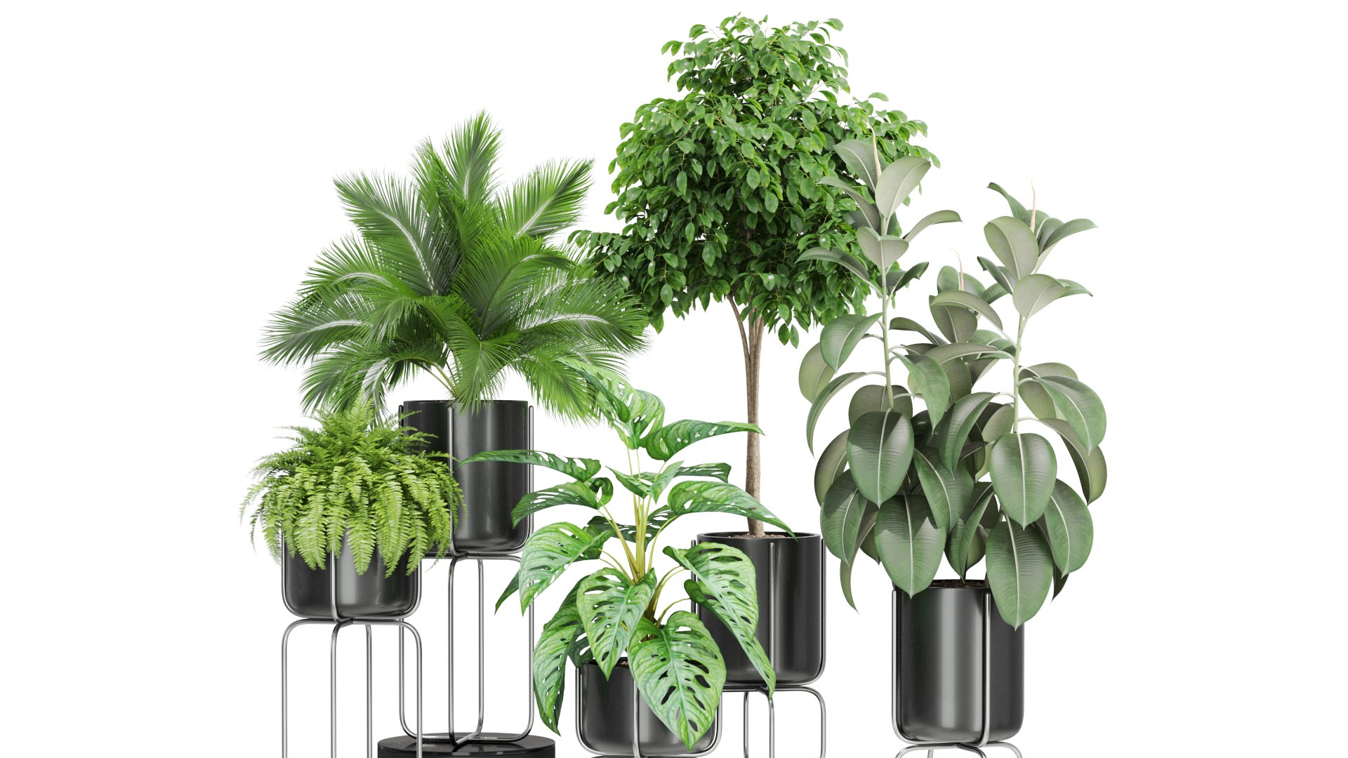 3D plants https://p.turbosquid.com/ts-thumb/di/CjkfnZ/Yk/7/jpg/1614949911/1920x1080/fit_q87/3a411a5a3a5b6a7b15b7b2535482e229836ee7cb/7.jpg
