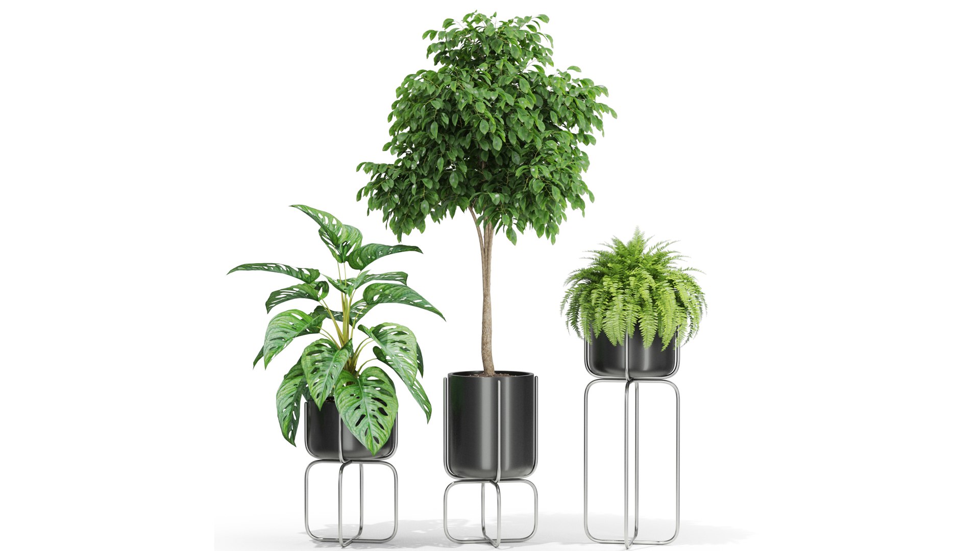 3D plants https://p.turbosquid.com/ts-thumb/di/CjkfnZ/oh/2/jpg/1614949909/1920x1080/fit_q87/0eb5050033731f9fa5f48724f57b151e4971ce89/2.jpg
