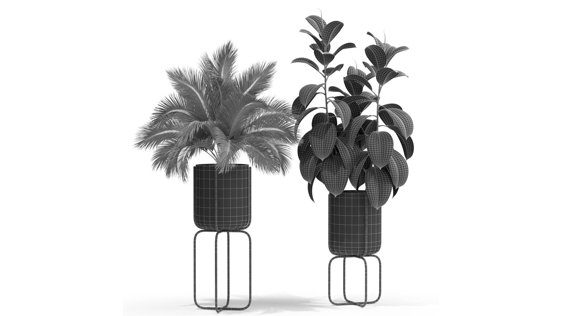 3D plants https://p.turbosquid.com/ts-thumb/di/CjkfnZ/yL/5/jpg/1614949968/1920x1080/fit_q87/a12c0907b5a9cc643b19eef6ef65eb8e9db32805/5.jpg