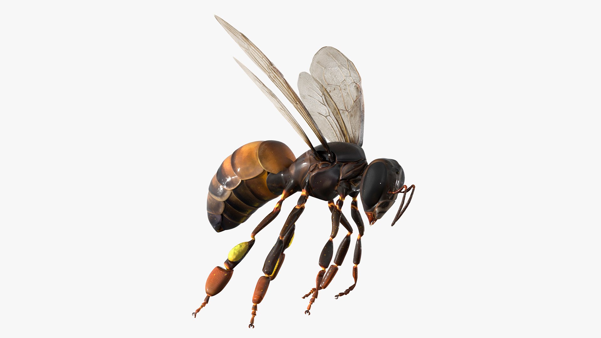 3D model Midair Pollen Bee Animated Rigged For Blender https://p.turbosquid.com/ts-thumb/di/Fboef9/bh/midair_pollen_bee_animated_rigged_for_blender_008/jpg/1761821354/1920x1080/fit_q87/ccc660ee0978d6ed19200de8dbae5f4c1008a87f/midair_pollen_bee_animated_rigged_for_blender_008.jpg