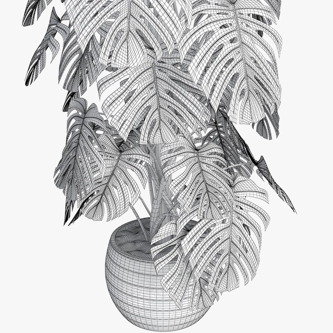 monstera pot 3D https://p.turbosquid.com/ts-thumb/di/MVcFc6/ByNRRFPQ/pr_06/jpg/1506262425/1920x1080/fit_q87/cace2932b69faba0634a3ccf053563fb4ade0472/pr_06.jpg
