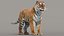 Siberian Tiger 3D Model with Fur