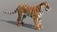 Siberian Tiger 3D Model with Fur