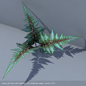 japanese painted fern 3d model