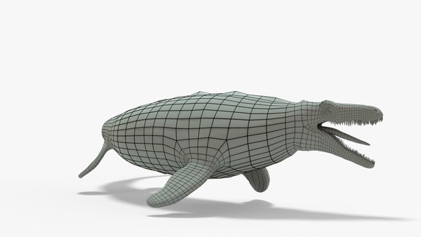 modelo 3d Mosasaurus Rigged Basemesh - TurboSquid 2064808