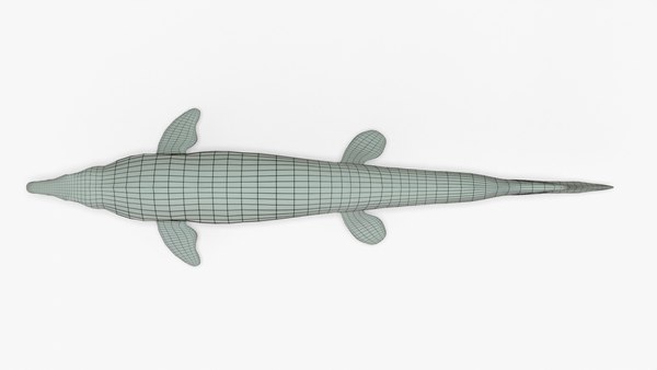 modelo 3d Mosasaurus Rigged Basemesh - TurboSquid 2064808