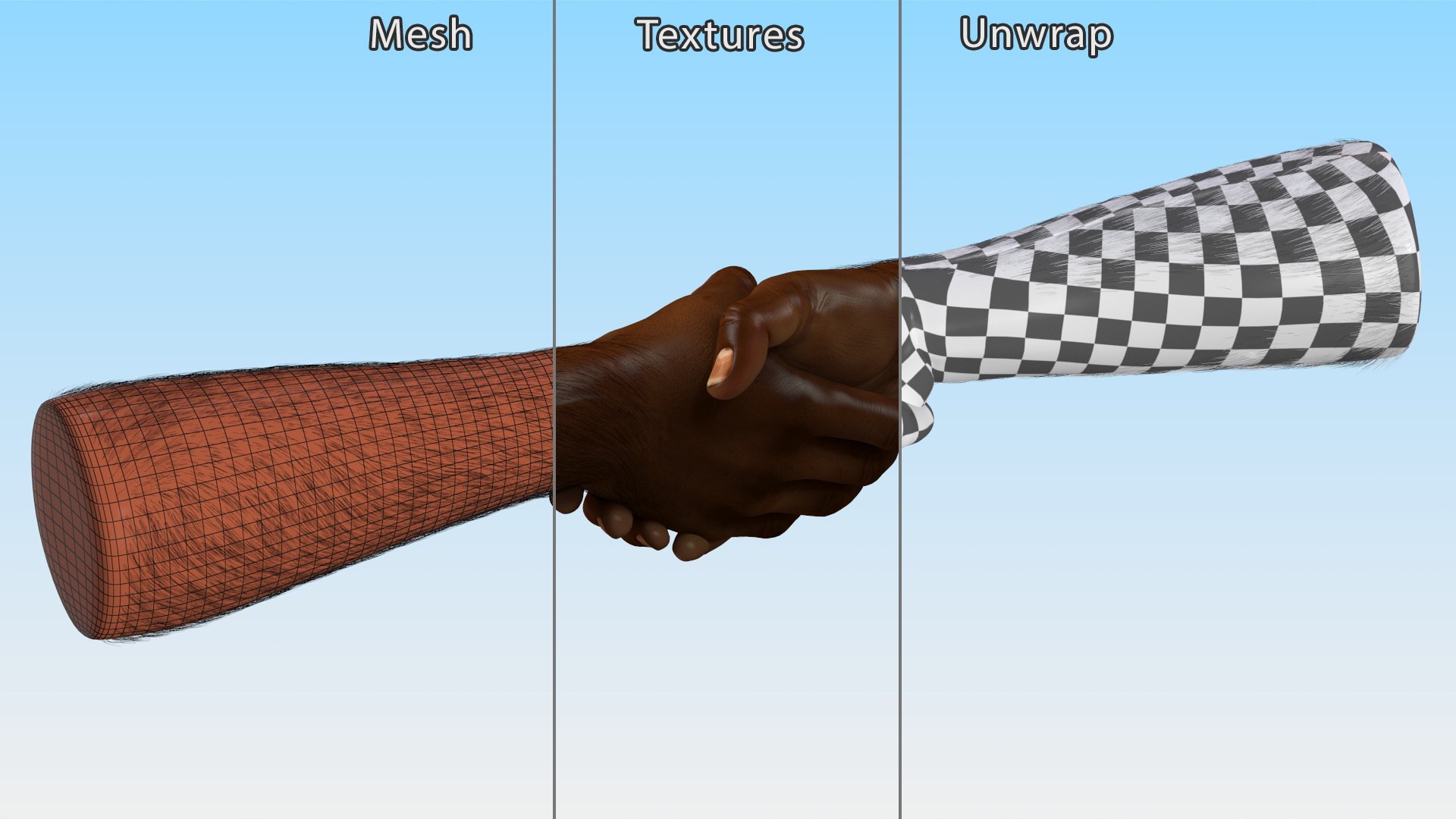 3D model Handshake African Man Hands with Fur https://p.turbosquid.com/ts-thumb/di/ZLw0zh/9V/handshakeafricanmanhandswithfur3dmodel017/jpg/1692274917/1920x1080/fit_q87/826724382178de66014341f1ff1d23abfa2c97ab/handshakeafricanmanhandswithfur3dmodel017.jpg