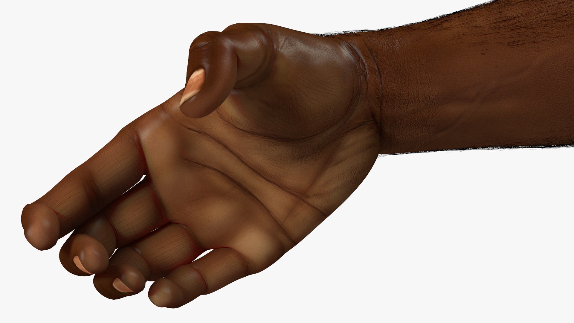 3D model Handshake African Man Hands with Fur https://p.turbosquid.com/ts-thumb/di/ZLw0zh/Gf/handshakeafricanmanhandswithfur3dmodel010/jpg/1692274895/1920x1080/fit_q87/981257dd867b63d027500916f546020cef590ec8/handshakeafricanmanhandswithfur3dmodel010.jpg