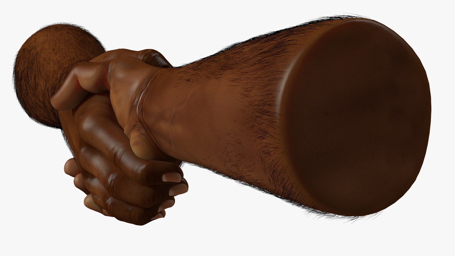 3D model Handshake African Man Hands with Fur https://p.turbosquid.com/ts-thumb/di/ZLw0zh/Jg/handshakeafricanmanhandswithfur3dmodel012/jpg/1692274901/1920x1080/fit_q87/e4eae9612db2aa44a9b9f81d7f63bd538ec4da44/handshakeafricanmanhandswithfur3dmodel012.jpg