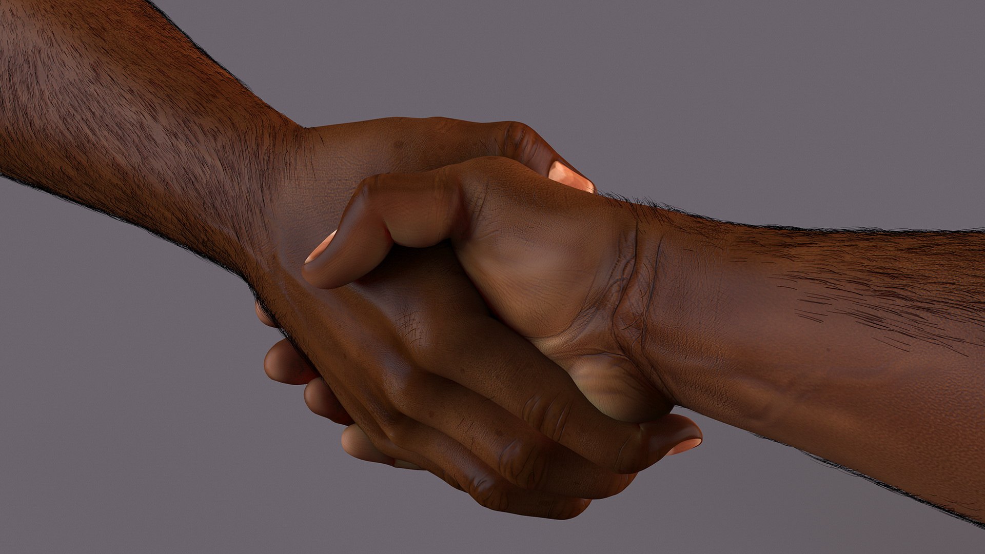 3D model Handshake African Man Hands with Fur https://p.turbosquid.com/ts-thumb/di/ZLw0zh/Yh/handshakeafricanmanhandswithfur3dmodel008/jpg/1692274888/1920x1080/fit_q87/e18f4c232b54f140330d032c211006e9ed9f5a09/handshakeafricanmanhandswithfur3dmodel008.jpg