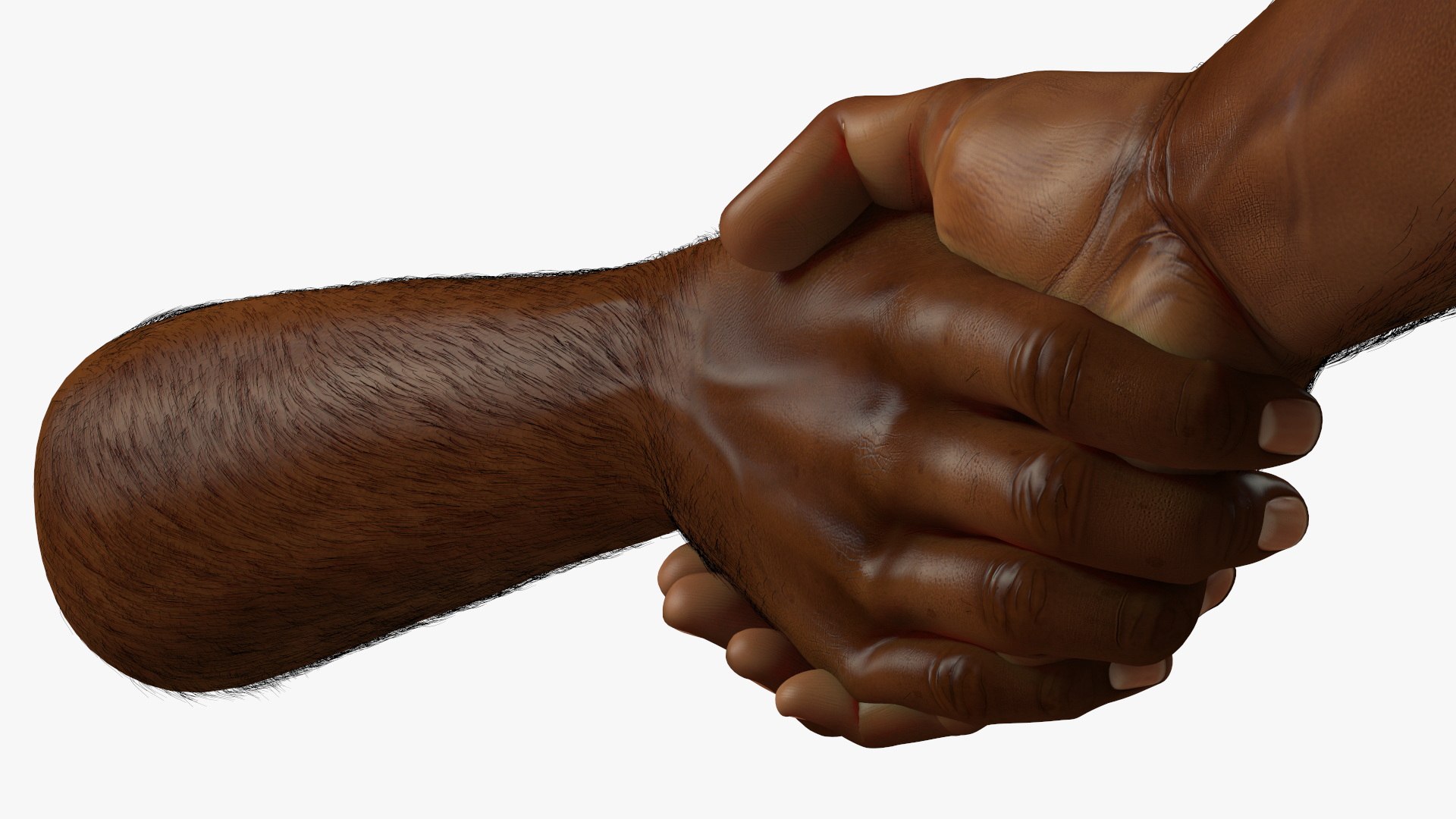 3D model Handshake African Man Hands with Fur https://p.turbosquid.com/ts-thumb/di/ZLw0zh/bH/handshakeafricanmanhandswithfur3dmodel014/jpg/1692274907/1920x1080/fit_q87/ece85c537b6eb908c9c4e64b1f2a87472284a928/handshakeafricanmanhandswithfur3dmodel014.jpg