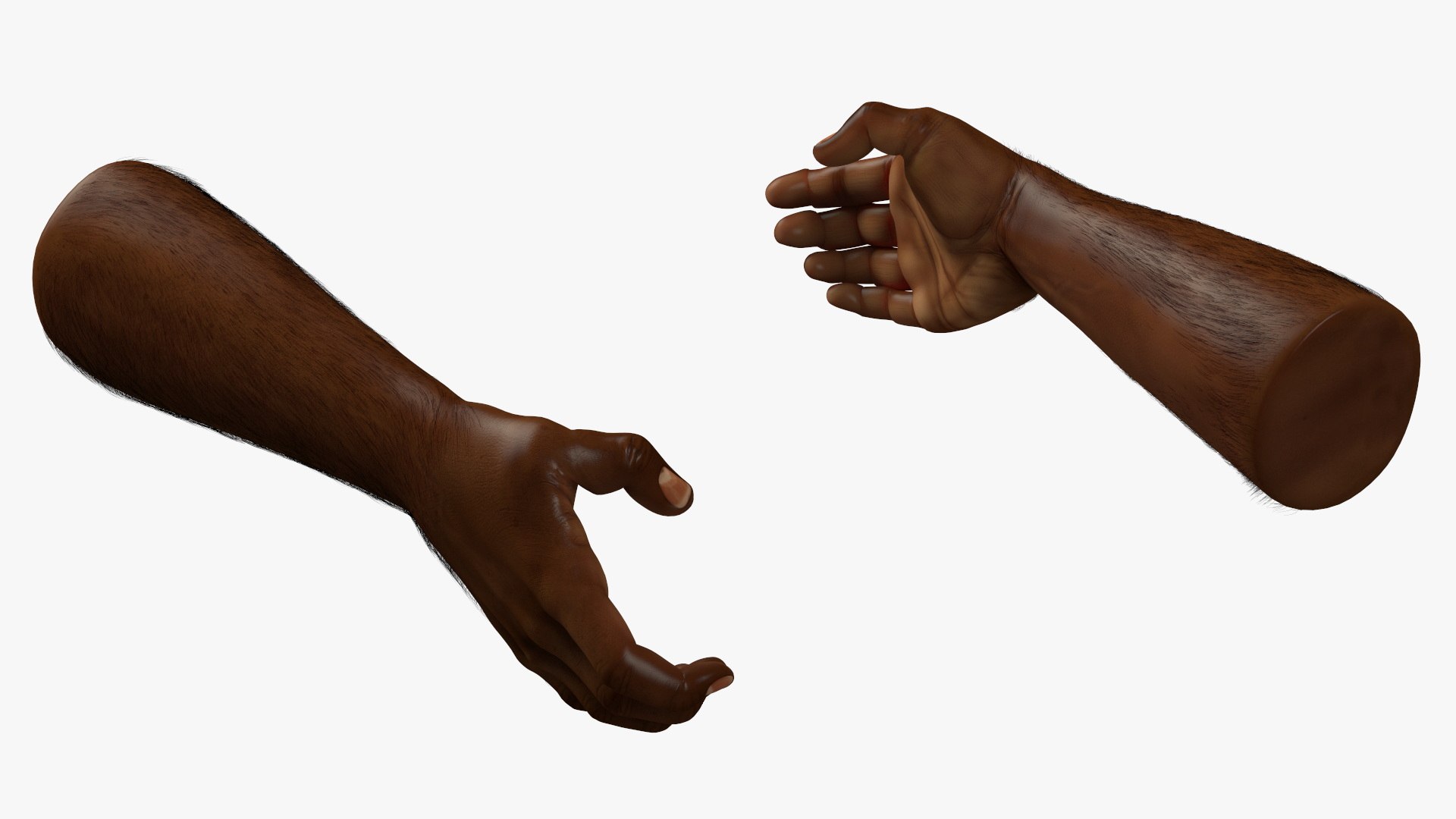 3D model Handshake African Man Hands with Fur https://p.turbosquid.com/ts-thumb/di/ZLw0zh/jo/handshakeafricanmanhandswithfur3dmodel009/jpg/1692274891/1920x1080/fit_q87/7155953e8f4a37e18969787c4fe9aa93f81c866f/handshakeafricanmanhandswithfur3dmodel009.jpg