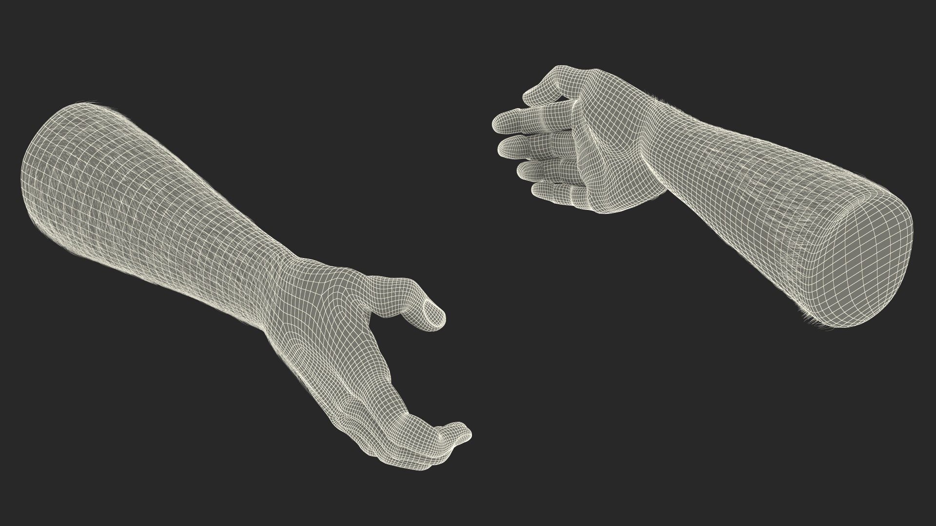 3D model Handshake African Man Hands with Fur https://p.turbosquid.com/ts-thumb/di/ZLw0zh/ld/handshakeafricanmanhandswithfur3dmodel026/jpg/1692274955/1920x1080/fit_q87/1ecbc7cf9be1143636134098a2002a7d2237be5e/handshakeafricanmanhandswithfur3dmodel026.jpg