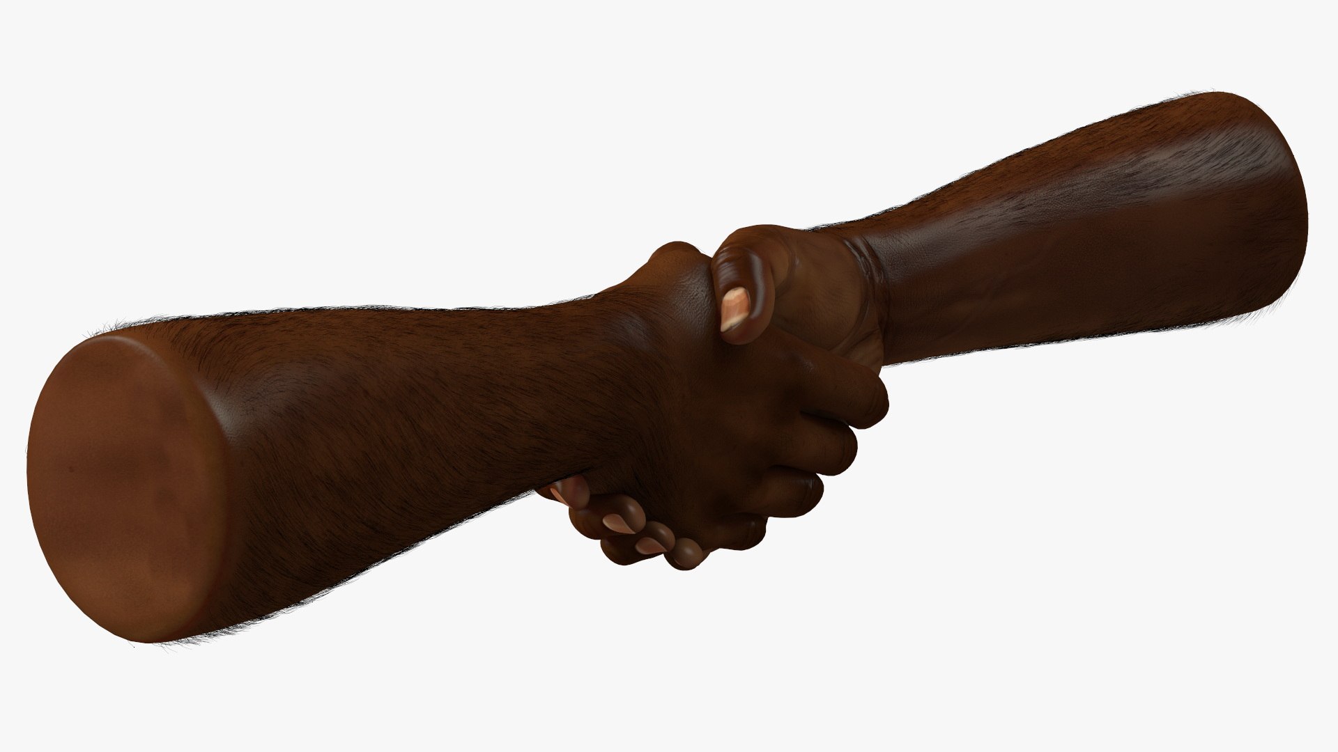 3D model Handshake African Man Hands with Fur https://p.turbosquid.com/ts-thumb/di/ZLw0zh/wF/handshakeafricanmanhandswithfur3dmodel011/jpg/1692274898/1920x1080/fit_q87/8bb2101408b813d8029e20cb84c85feb93feb6dd/handshakeafricanmanhandswithfur3dmodel011.jpg