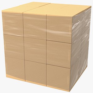 Carton Boxes Wrapped in Stretch Film(1)