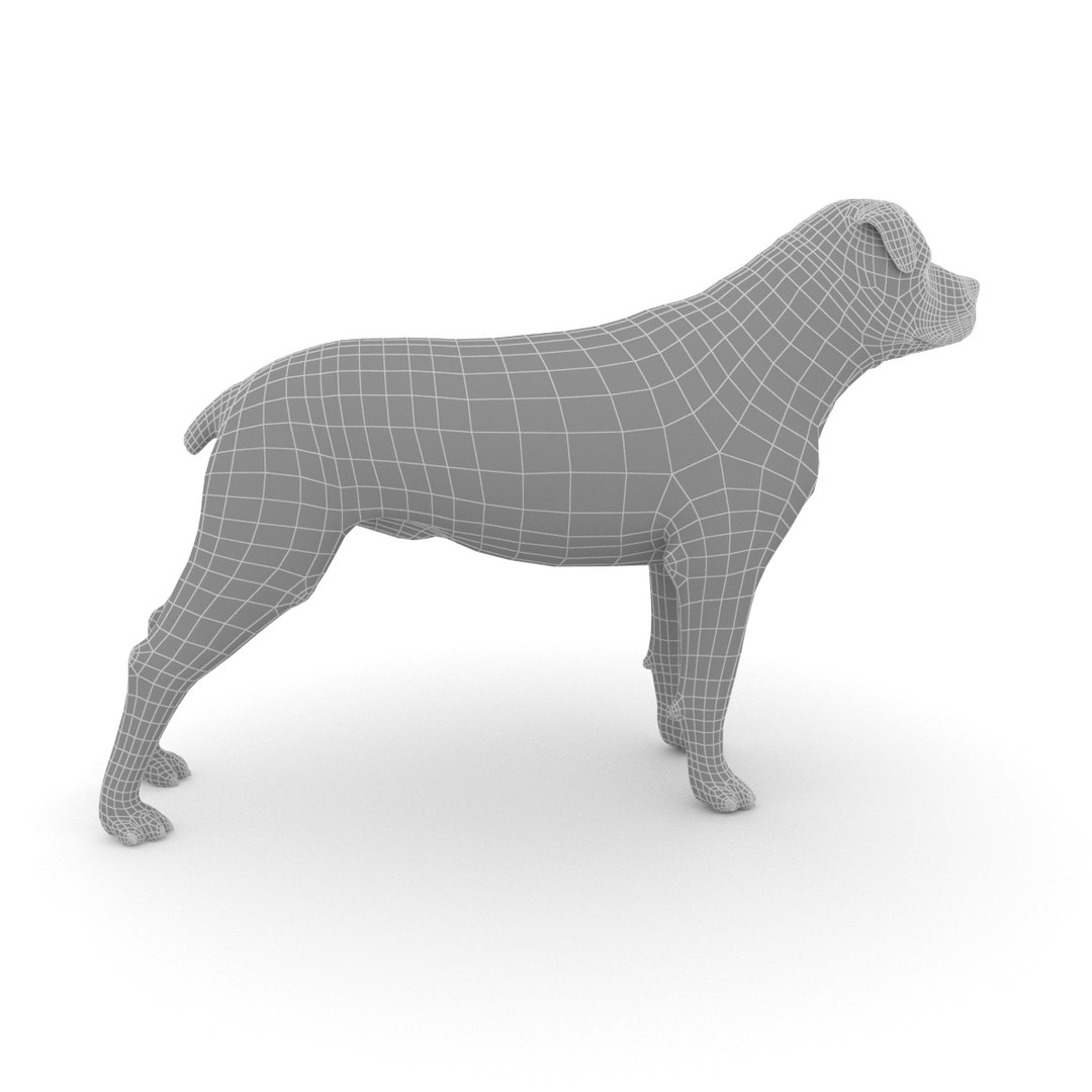 3D model rottweiler dog https://p.turbosquid.com/ts-thumb/di/enrwWn/zE8ZKAbx/rottweiler_wireframe_0002/png/1550852723/1920x1080/fit_q87/85157589130aa410159908aa0cdab6803932c8df/rottweiler_wireframe_0002.jpg