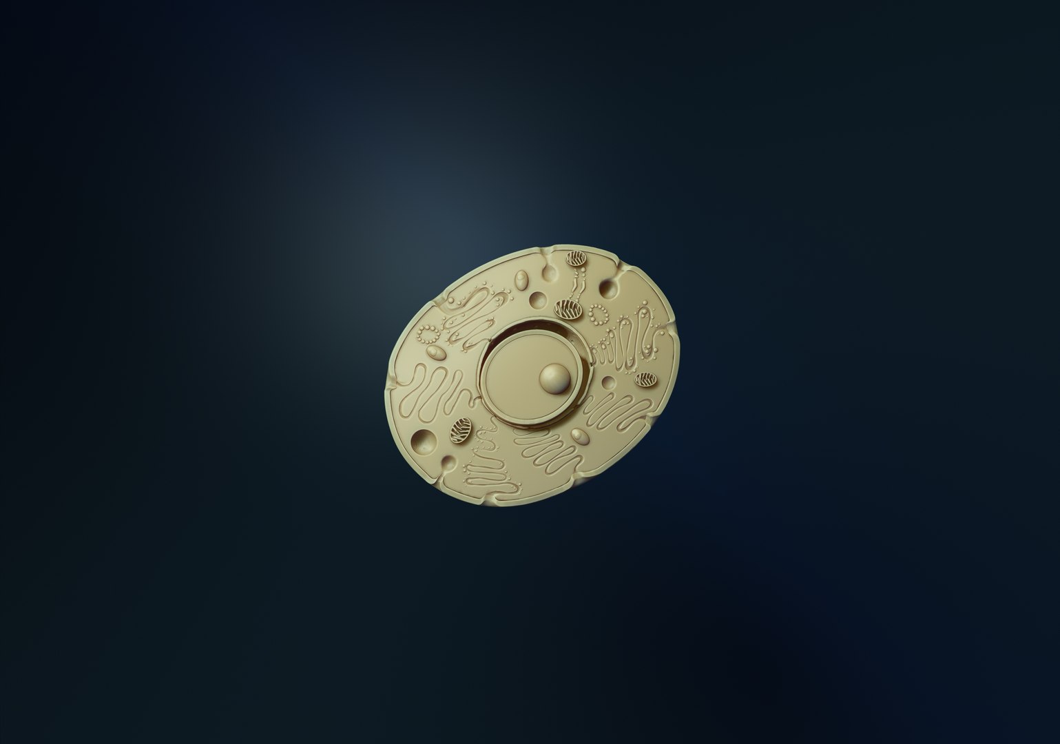 animal cell 3D model https://p.turbosquid.com/ts-thumb/di/yAsn36/uZ/5/jpg/1637847975/1920x1080/fit_q87/45ef61b27aa4c645b90729e40fa1a6b4691083dc/5.jpg