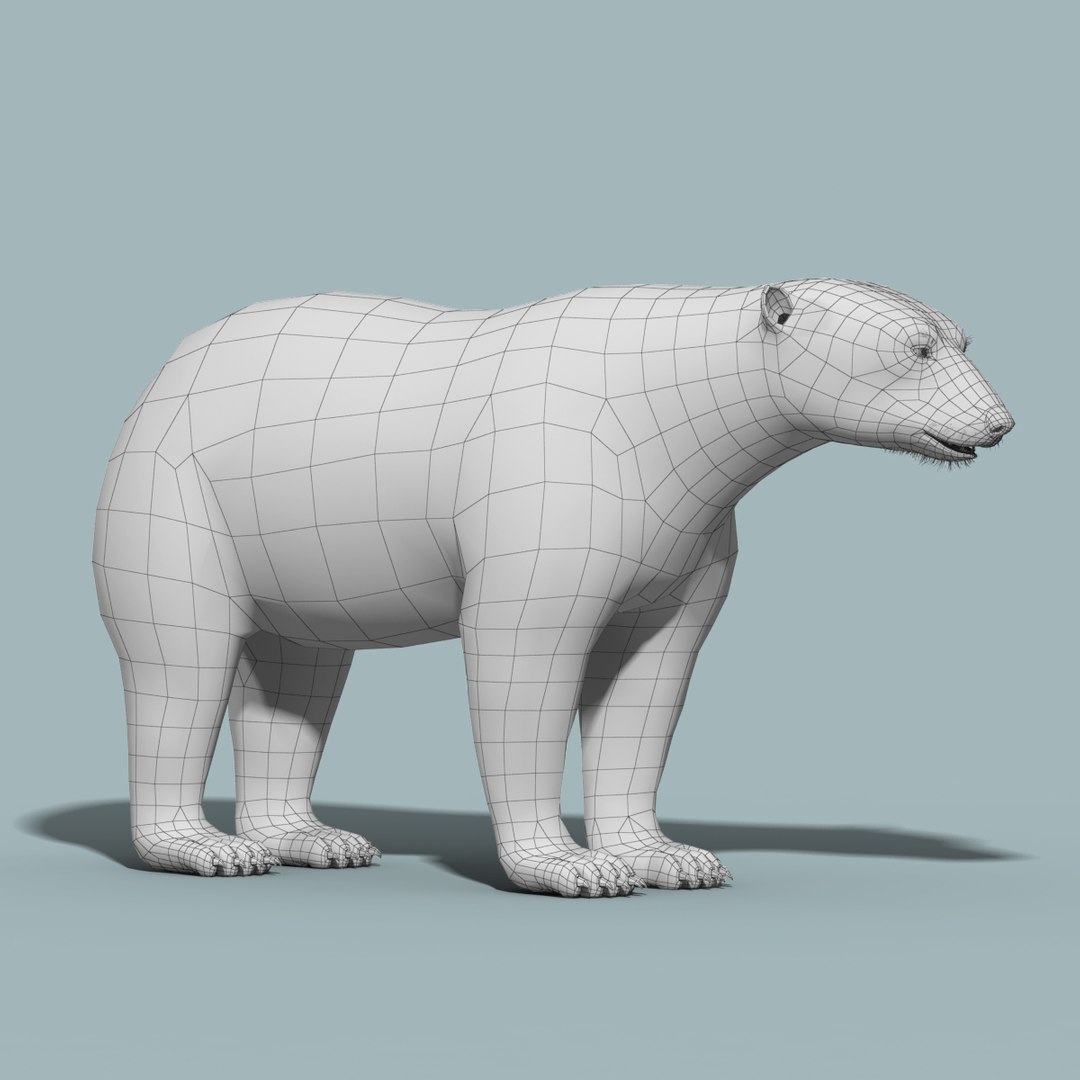 3d polar bear fur hair animation https://p.turbosquid.com/ts-thumb/di/zGMLKj/IdTvPVrT/polar_bear_fur_13/jpg/1454842687/1920x1080/fit_q87/12ea3fd9a12a65a5a4cb55473830bb18b68b2838/polar_bear_fur_13.jpg