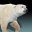 Polar Bear(FUR)(ANIMATED)