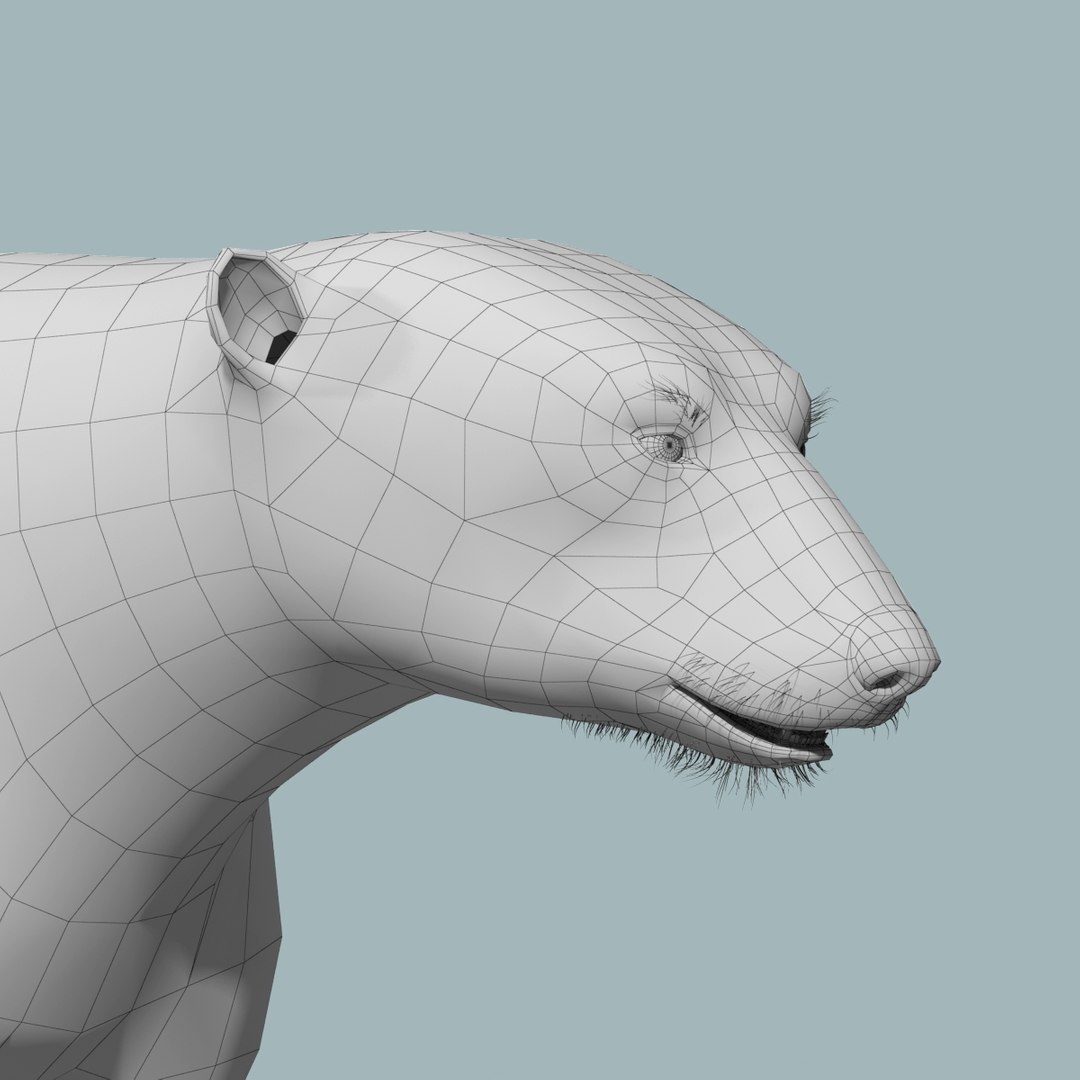 3d polar bear fur hair animation https://p.turbosquid.com/ts-thumb/di/zGMLKj/xjpJnK6Q/polar_bear_fur_16/jpg/1454842687/1920x1080/fit_q87/7585af461ab18070c0691ee44ff0cc6b5110c812/polar_bear_fur_16.jpg