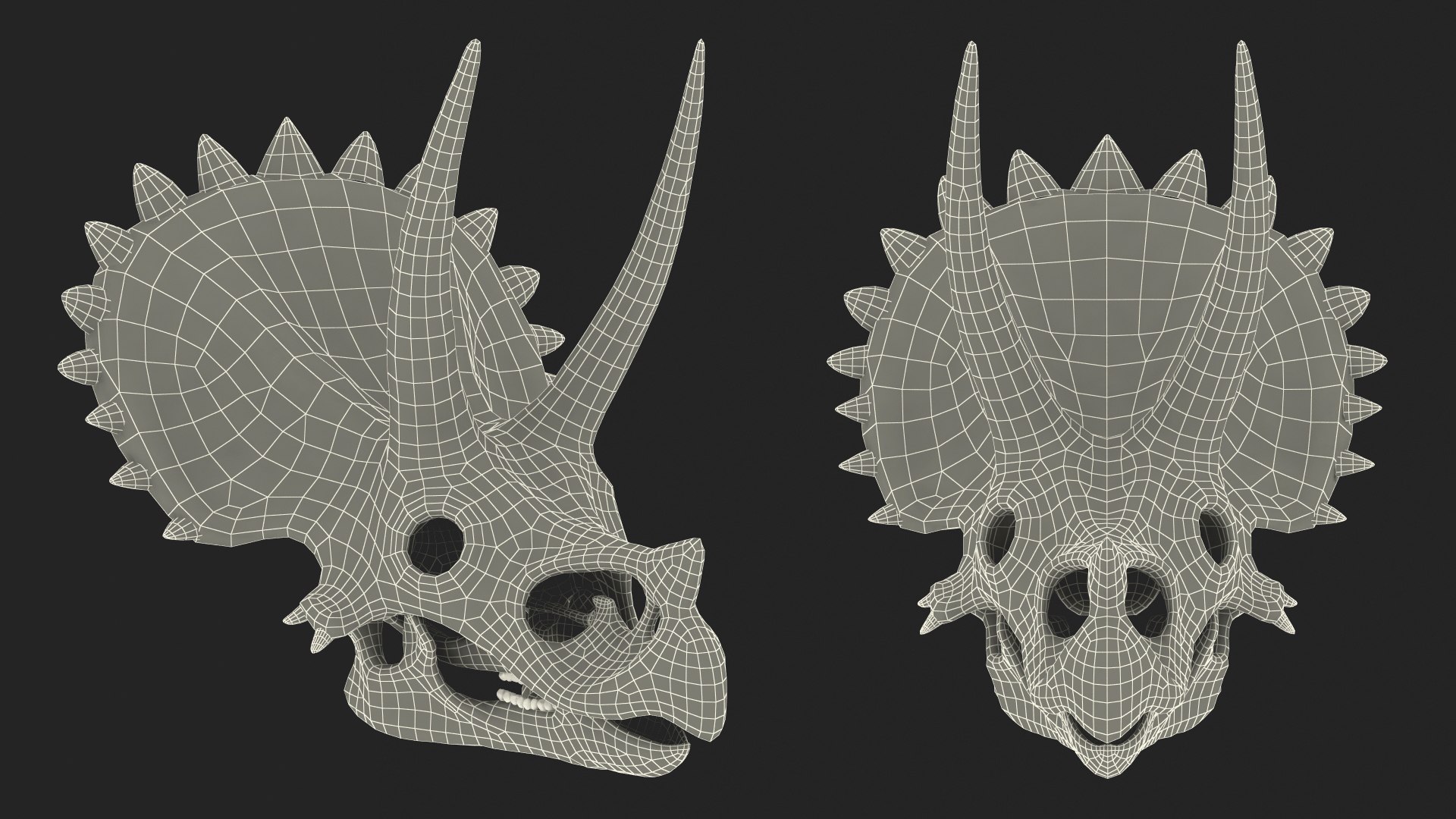 3D Skulls Collection 7 https://p.turbosquid.com/ts-thumb/dj/7WY6Sl/JD/skulls_collection_7_029/jpg/1747309945/1920x1080/fit_q87/fdd3a1f7362e272940dc2bcd5519c40474fa800d/skulls_collection_7_029.jpg