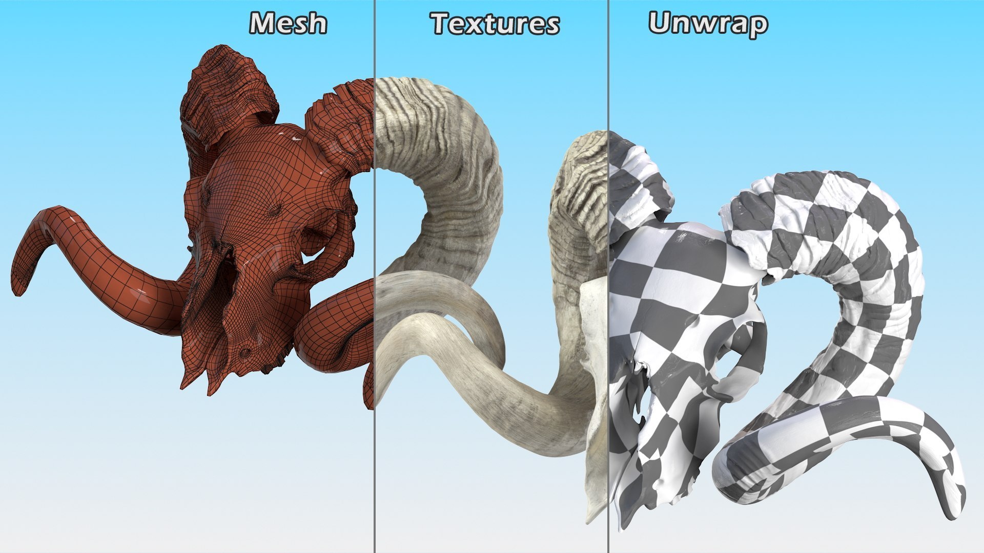 3D Skulls Collection 7 https://p.turbosquid.com/ts-thumb/dj/7WY6Sl/mh/skulls_collection_7_025/jpg/1747309942/1920x1080/fit_q87/d6cff18f152e0df26c291351dfb07b22d29aa18c/skulls_collection_7_025.jpg