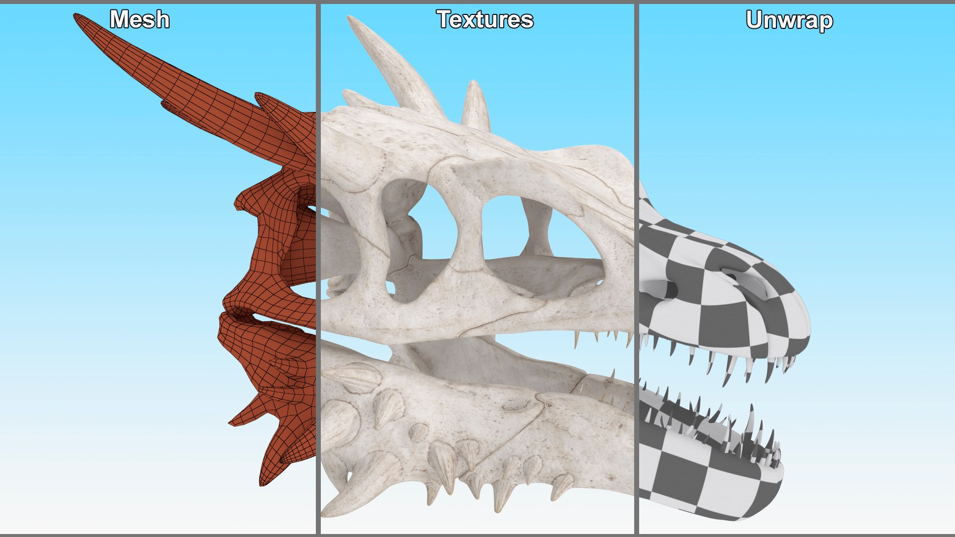 3D Skulls Collection 7 https://p.turbosquid.com/ts-thumb/dj/7WY6Sl/xv/skulls_collection_7_023/jpg/1747309942/1920x1080/fit_q87/b3f25c668a570b35b5ea1690ba5772d4ba45ecb1/skulls_collection_7_023.jpg