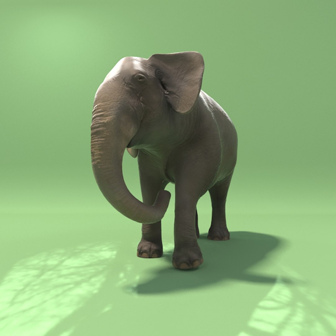 3d good elephant