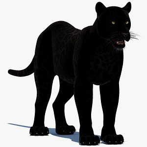 Black Panther 3D Model