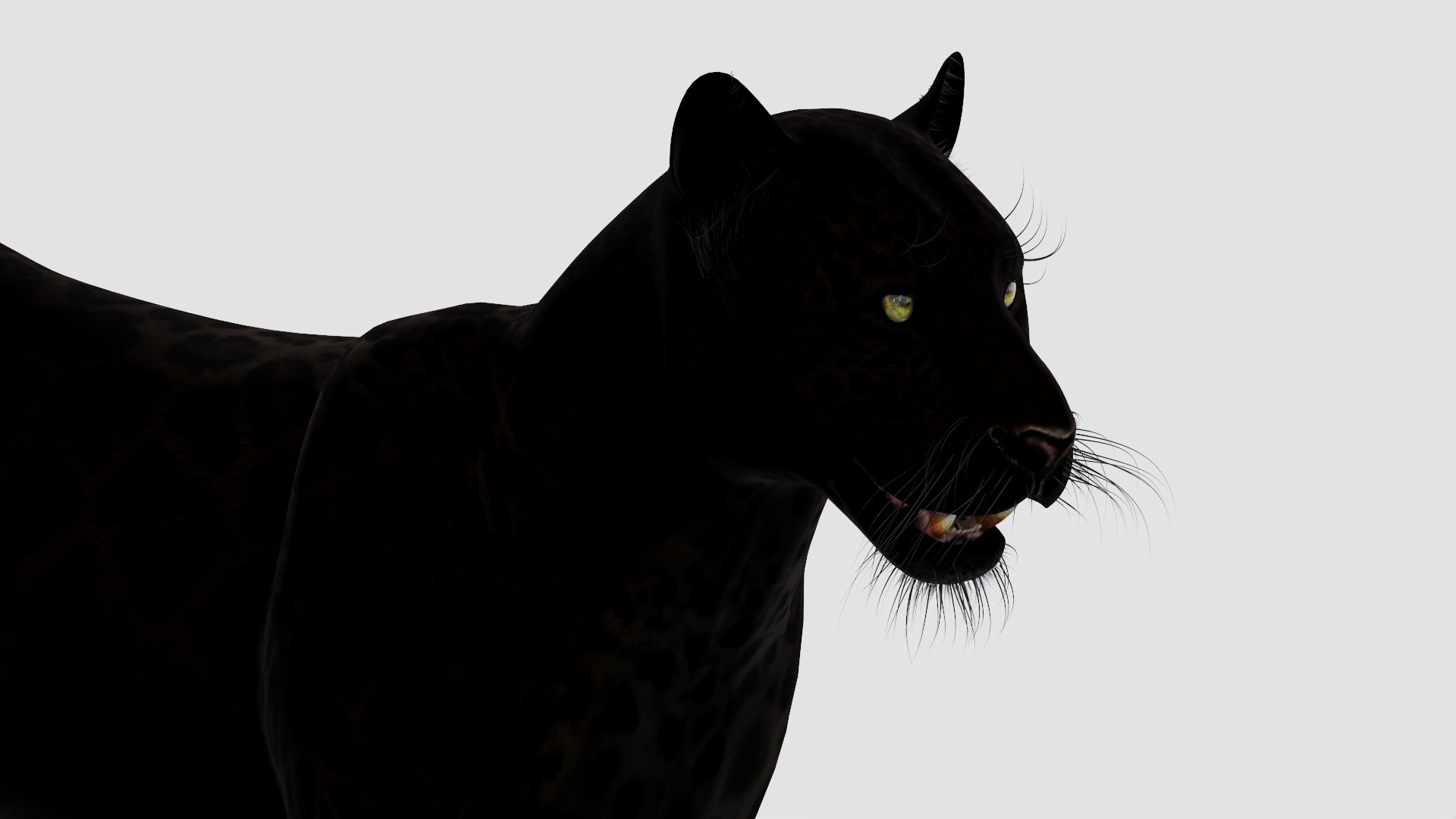 panther black animal 3d model https://p.turbosquid.com/ts-thumb/dj/Qz8iha/R8/panther3dmodel11/jpg/1711014461/1920x1080/fit_q87/0150a75d92237334ad49838f6b8d73ed7396a1c7/panther3dmodel11.jpg